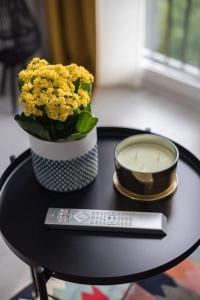 Spacious Studio with Park View