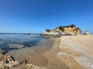 Maisons de vacances Grande maison familiale, plage : photos des chambres