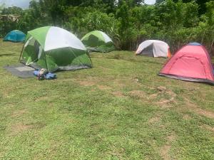 Camping La Bucara