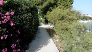 Apartments Rora 