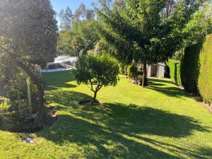 Arlington Real Estate Vigo