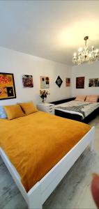 Deluxe One-Bedroom Apartment room in Warszawa Centrum Apartament Daniella