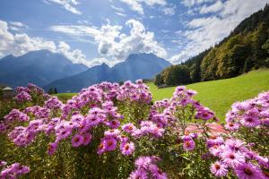 Haus der Berge Ferienwohnung