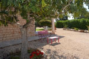 Finca Cati