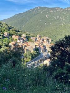 Villas Charming air-conditioned house with garden & view : photos des chambres