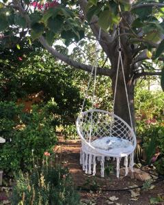 Serenity Villa By Seahorse