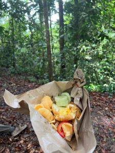 Bukit lawang free transpot free room