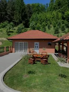 Apartmani Markovic - Guča