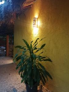 Suites de Piedra y Colores en Chichen Itzá