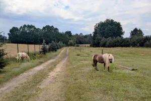 Hacienda Natura Agroturystyka - Nowe