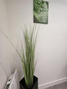 Appartements Longsap, paisible appartement : photos des chambres