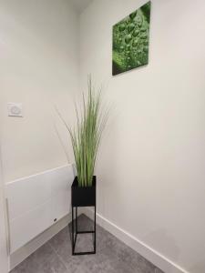 Appartements Longsap, paisible appartement : photos des chambres