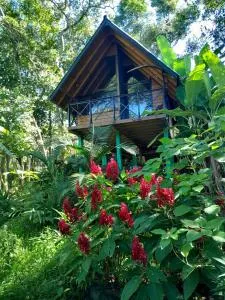 Cabana com Cachoeira Privativa - Ponta Rasa