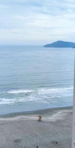 Apto 235 m2 Alto padrão Vista mar 3 suítes