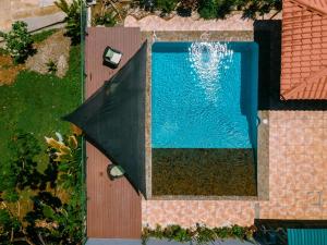 Jungle Glory Home Arriba