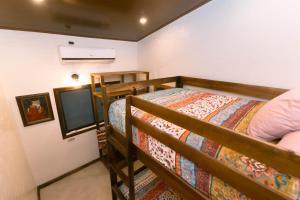 Jungle Glory Home Arriba