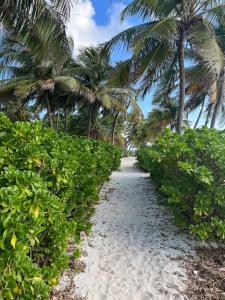 Residences at Barrier Reef 7B Oceanview 2 BR by Stay Floreo