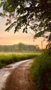 APARTAMENT RYBICAL nad jeziorem