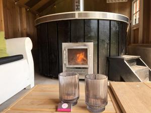 De Kastanje 5-persoons met overdekte lounge en hottub, barrelsauna, stoomsauna, ligbad, sunshower, wifi