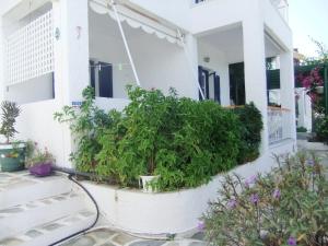 Family Two-Bedroom Apartment with Sea View 