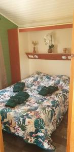 Campings Casa verde : photos des chambres