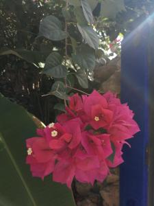 Suites de Piedra y Colores en Chichen Itzá