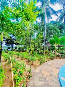 1 Bedroom With Swimming Pool