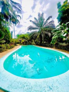 1 Bedroom With Swimming Pool