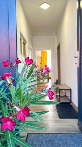 Apartmány SVRČINKY