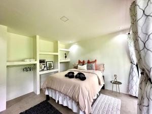 DreamHastHouse