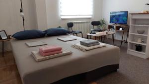 Studi-apartman Kestenov stan