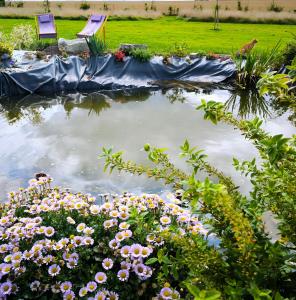 La Petite Eole - Déco 70s, Entre Rouen et Dieppe