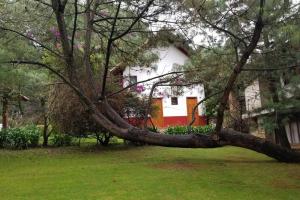 Cabaña en Mazamitla #4 Lomas Verdes