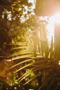 Hotel Boutique Lagarta Lodge