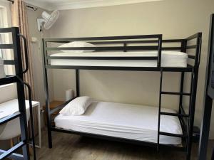 Homely Inn Hostel