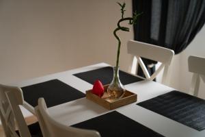 Beautiful Central City Apartment - 2BR, WIFI, Netflix & PS4