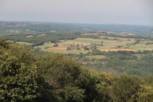 Le paradis des châtaigniers