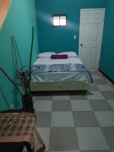 Hostal CASACA - 康塞普西翁德阿塔科