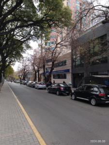 New & Lovely Apartment in Mendoza City Center