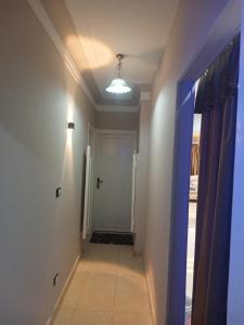 القاهره مدينه نصر