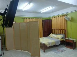 Urban Oasis Apartment 2 - Castries