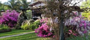 Ruca Hueney - 4hvězdičkové hotely ve městě Tigre