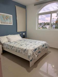 las buganvillas