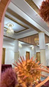 RIAD dreams dades