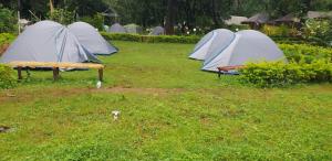 New satpura resort