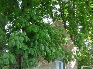 Maisons de vacances Gite de charme a Leval, 4 chambres, cheminee, cour privative, proche nature et randonnees - FR-1-510-175 : photos des chambres