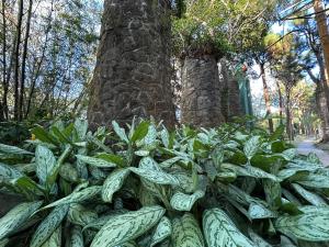 Vacation Villa at Crosswinds Tagaytay