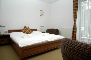 Suite with infrasauna room in Hotel Loucky