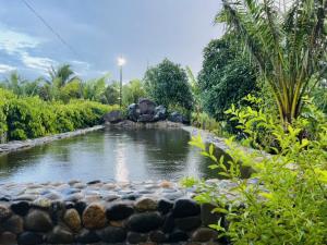 Bình Châu Homestay