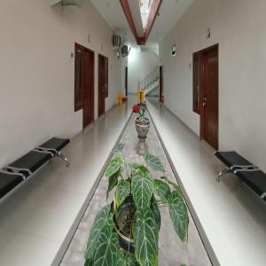 RedDoorz at Syariah House Purwokerto